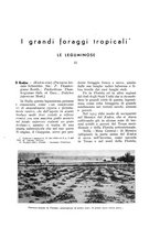 giornale/UM10003065/1937/unico/00000527