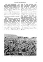 giornale/UM10003065/1937/unico/00000559