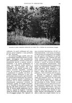 giornale/UM10003065/1937/unico/00000637