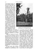 giornale/UM10003065/1937/unico/00000638