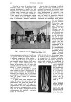 giornale/UM10003065/1937/unico/00000648