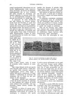 giornale/UM10003065/1937/unico/00000652