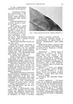 giornale/UM10003065/1937/unico/00000801