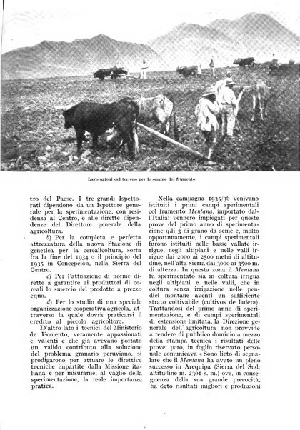 L'Italia agricola