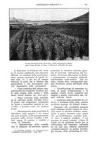 giornale/UM10003065/1937/unico/00000831