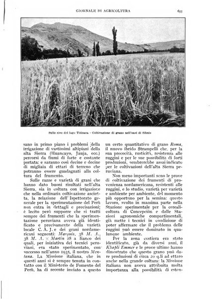 L'Italia agricola