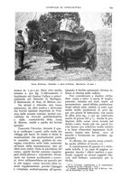 giornale/UM10003065/1937/unico/00000837