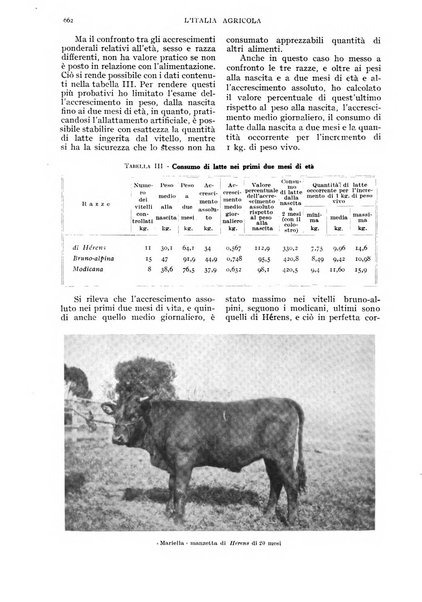 L'Italia agricola