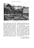 giornale/UM10003065/1937/unico/00000845