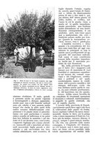 giornale/UM10003065/1937/unico/00000848