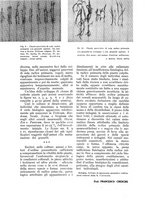 giornale/UM10003065/1937/unico/00000928