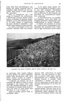 giornale/UM10003065/1937/unico/00000943