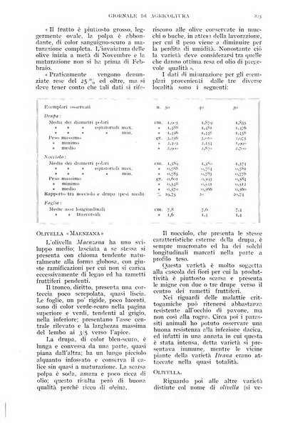 L'Italia agricola