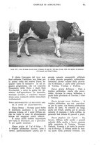 giornale/UM10003065/1937/unico/00001129