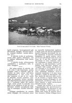 giornale/UM10003065/1937/unico/00001131