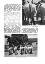 giornale/UM10003065/1937/unico/00001157