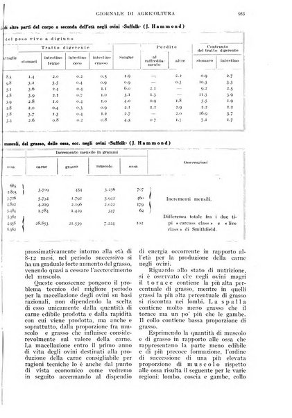 L'Italia agricola