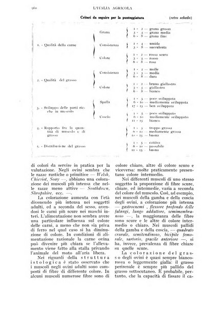 L'Italia agricola