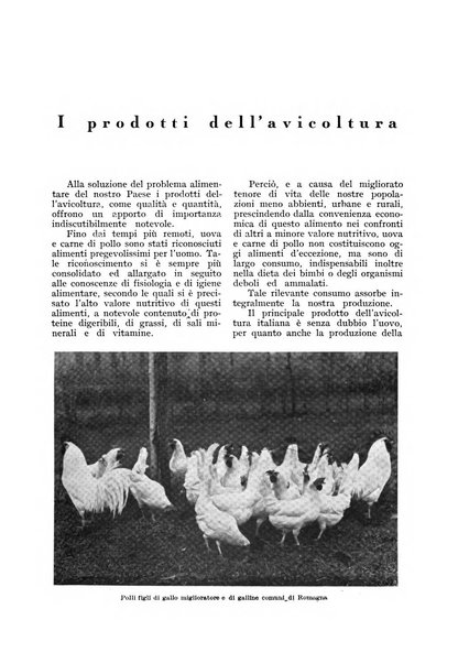 L'Italia agricola