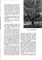 giornale/UM10003065/1937/unico/00001297