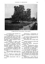 giornale/UM10003065/1937/unico/00001299