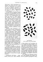 giornale/UM10003065/1937/unico/00001307