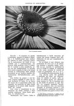 giornale/UM10003065/1937/unico/00001311