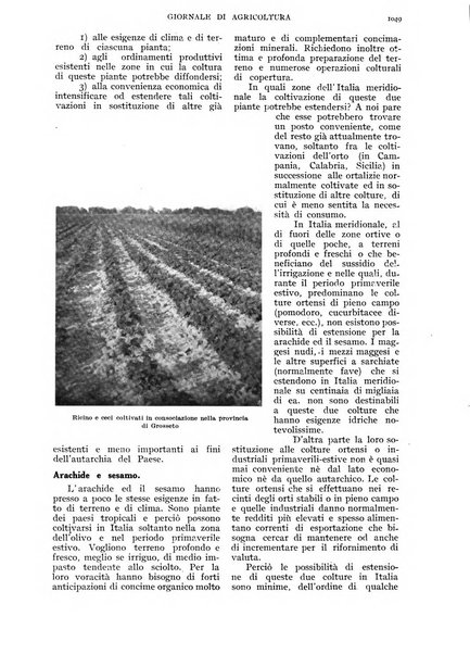 L'Italia agricola