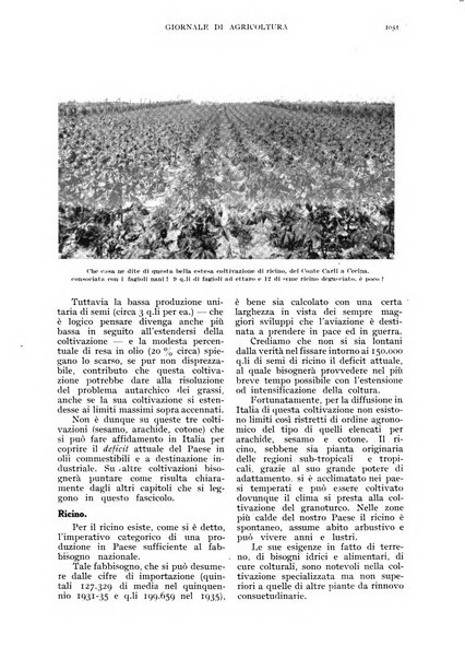 L'Italia agricola