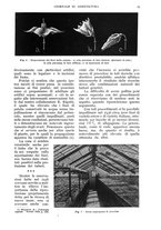 giornale/UM10003065/1938/unico/00000035