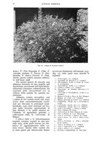 giornale/UM10003065/1938/unico/00000040