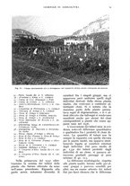 giornale/UM10003065/1938/unico/00000041