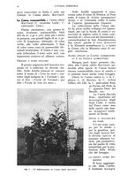 giornale/UM10003065/1938/unico/00000044