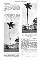 giornale/UM10003065/1938/unico/00000047