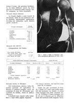 giornale/UM10003065/1938/unico/00000049