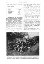 giornale/UM10003065/1938/unico/00000050