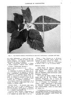giornale/UM10003065/1938/unico/00000051