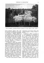 giornale/UM10003065/1938/unico/00000059