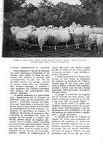 giornale/UM10003065/1938/unico/00000067