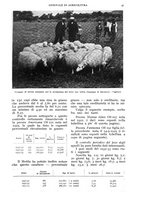 giornale/UM10003065/1938/unico/00000069