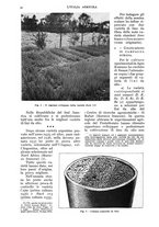 giornale/UM10003065/1938/unico/00000076