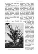 giornale/UM10003065/1938/unico/00000092