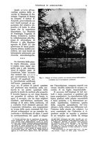 giornale/UM10003065/1938/unico/00000093
