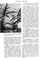 giornale/UM10003065/1938/unico/00000095