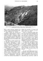 giornale/UM10003065/1938/unico/00000237