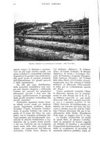 giornale/UM10003065/1938/unico/00000238