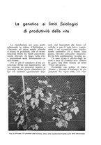 giornale/UM10003065/1938/unico/00000241