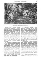 giornale/UM10003065/1938/unico/00000255