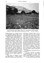 giornale/UM10003065/1938/unico/00000270