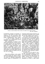 giornale/UM10003065/1938/unico/00000271